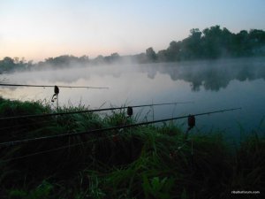 DSCN3157.JPG