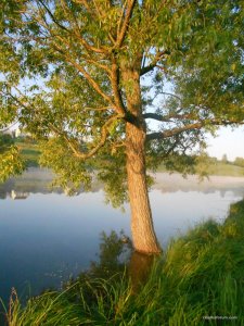 DSCN3173.JPG