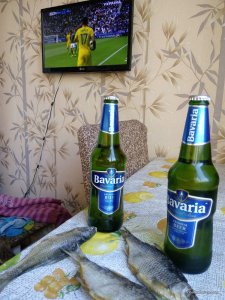 IMG_20160616_190433.jpg