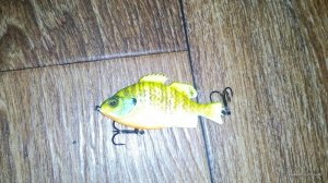 IMG_20160616_211806.jpg