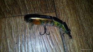 IMG_20160616_211816.jpg