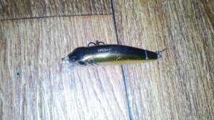IMG_20160616_211830.jpg