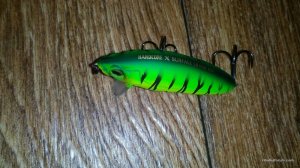 IMG_20160616_211910.jpg