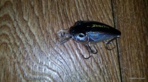 IMG_20160616_211919.jpg