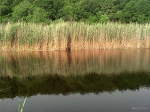 2016-06-18_08-57-32_763.jpg