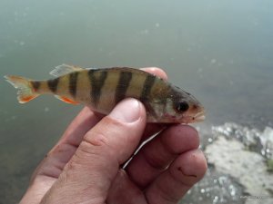 2016-06-18_09-58-07_710.jpg