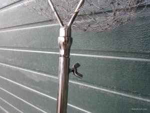 IMG_3552.JPG