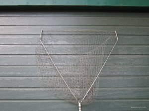 IMG_3550.JPG