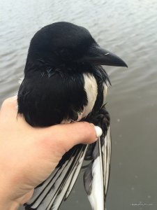 image.jpeg