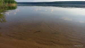IMG_4182.JPG
