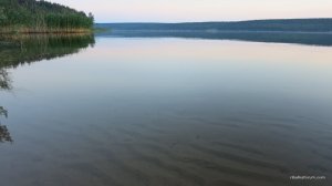 IMG_4205.JPG