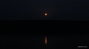 IMG_4247.JPG