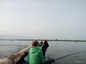 P60619-071142.jpg