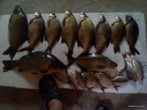 IMG_20160622_123618.jpg