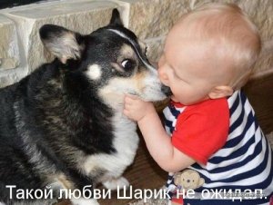 t__hyoegkyvas_198.jpg