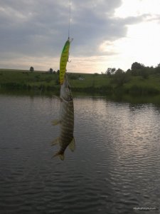 2016-06-19 17.21.24.jpg