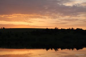 IMG_8882.JPG