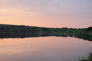 IMG_8884.JPG