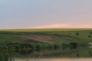 IMG_8887.JPG