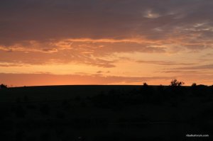 IMG_8888.JPG