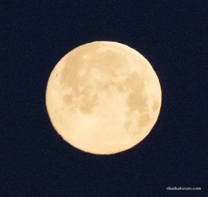 IMG_8912.jpg