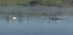 IMG_8947.jpg