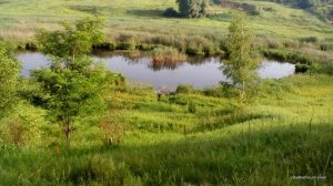 IMG_20160622_071128.jpg
