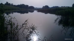 IMG_20160622_071757.jpg