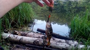 IMG_20160622_052746.jpg