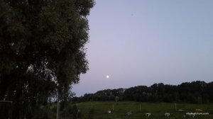 20160619_210852f.jpg
