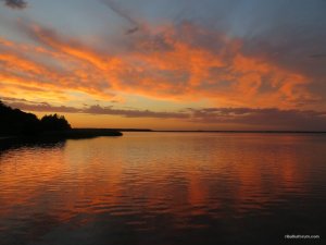 IMG_0972.JPG