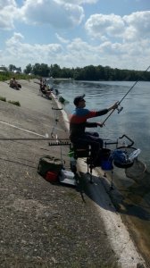 IMG_20160625_102216.jpg