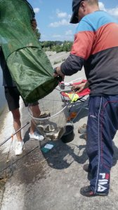 IMG_20160625_115942.jpg