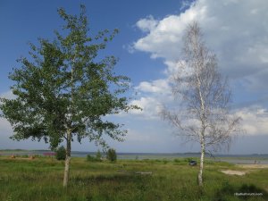 IMG_0937.JPG