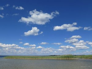 IMG_1010.JPG