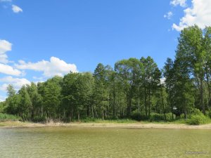 IMG_1011.JPG