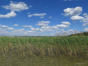 IMG_1012.JPG