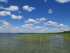 IMG_1021.JPG
