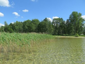 IMG_1022.JPG
