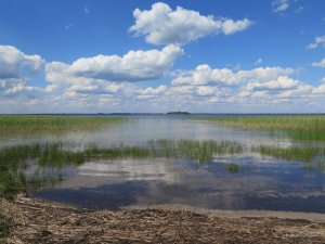 IMG_1024.JPG