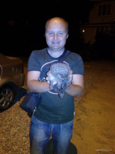 IMG_20160625_224654.jpg