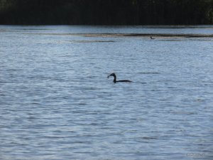IMG_2785.JPG