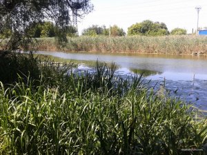 20160626_142216.jpg