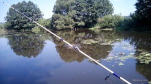 IMG_20160627_100336.jpg