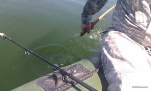 IMG_20160626_142103.jpg