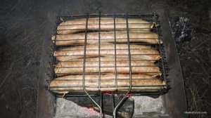 IMG_4356.JPG