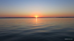 IMG_4428.JPG