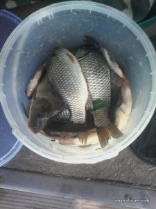 20160627_103317.jpg
