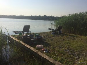 IMG_7470.JPG