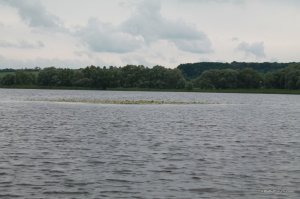 IMG_8801.JPG